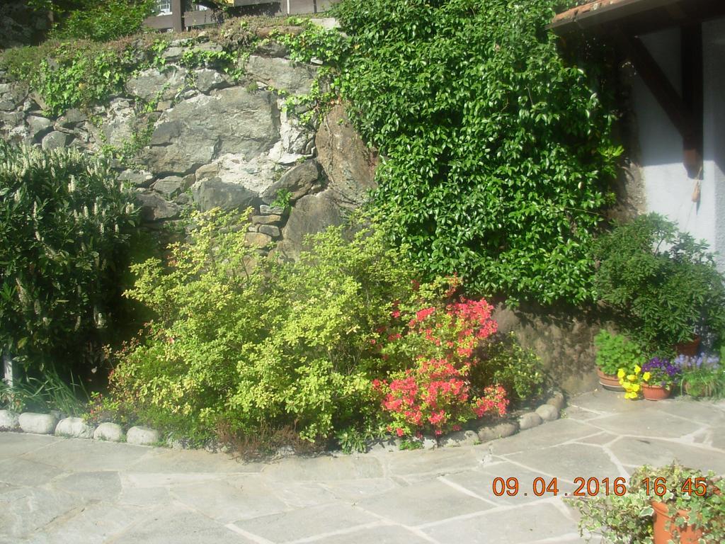 B&B I Pioppi Chiavenna Exterior photo
